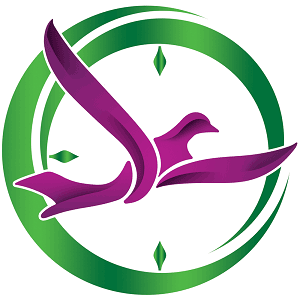 گیسوم سفر زمان گشت